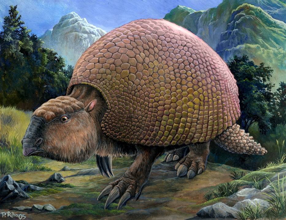 Biología y Geología 1º Bachillerato Rusiñol: GLYPTODON CLAVIPES