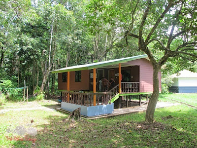 Forest Lodge Type 4 at Bako NP - WireBliss