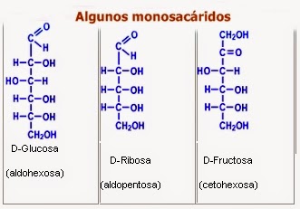 Hidratos de carbono (carbohidratos o glúcidos): composición química