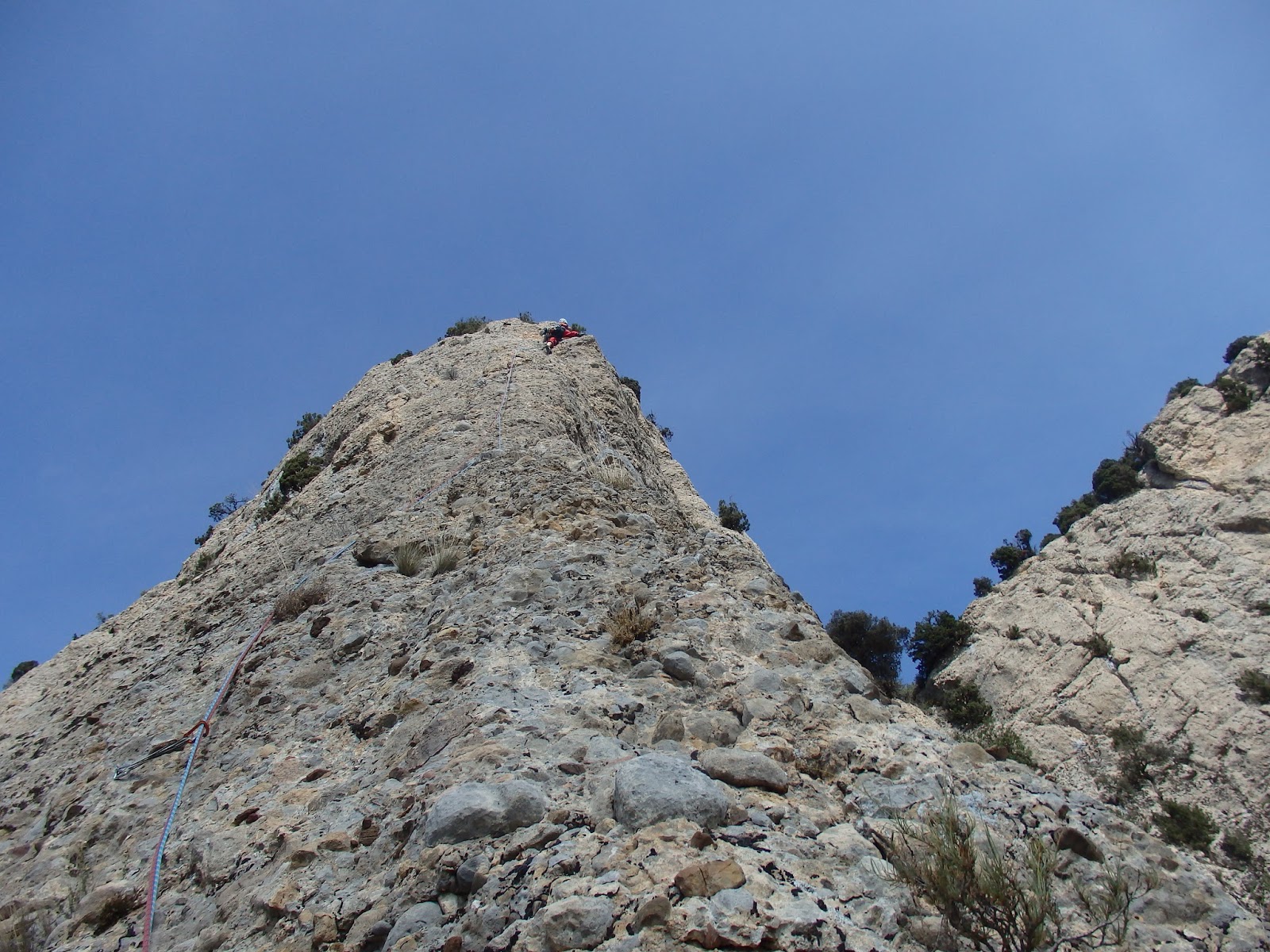 BLOG DEL ARMANDO COBO: octubre 2016