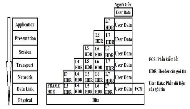 Mô hình OSI và TCP/IP | Networking: Mô hình OSI và TCP/IP