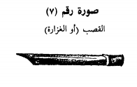 القصب القصب