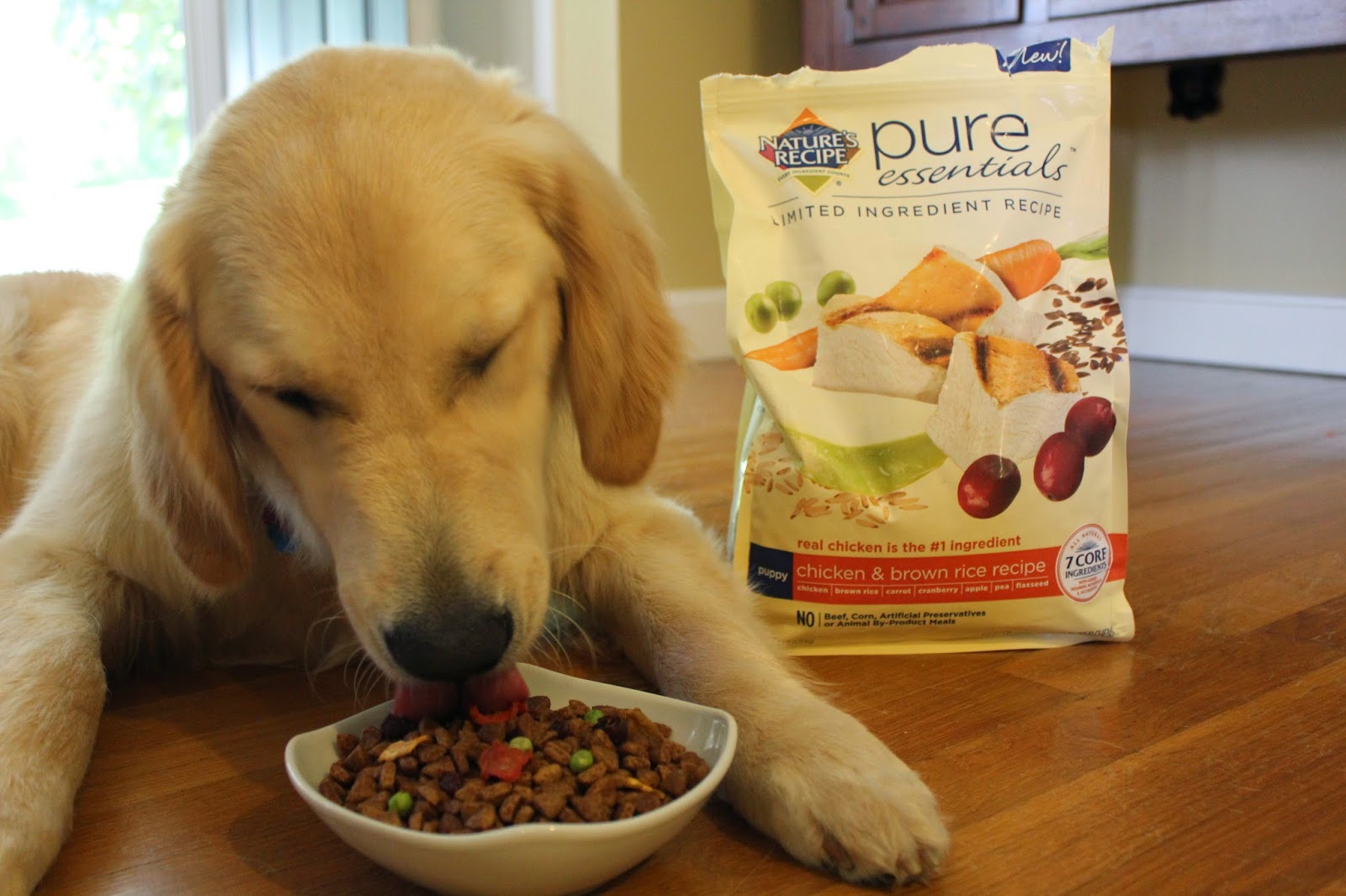 pure essentials dog food