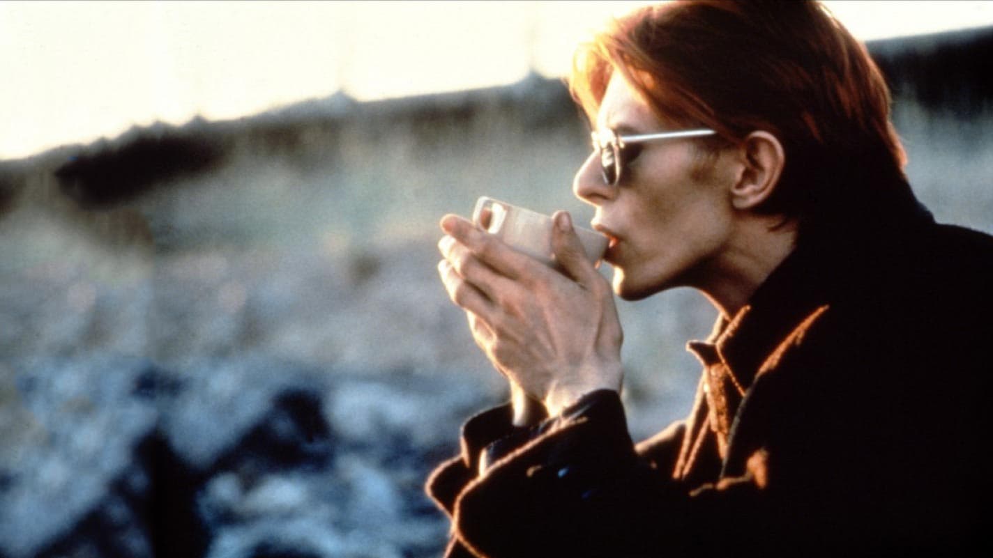 Дэвид боуи человек который упал на землю. Дэвид боуи человек упавший на землю. Человек который упал на землю фильм 1976. Дэвид боуи человек упавший на землю. Голый дэвид боуи человек который упал на землю.