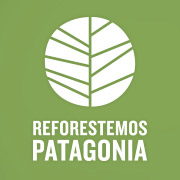 Reforestemos Patagonia con 1 millón de árboles