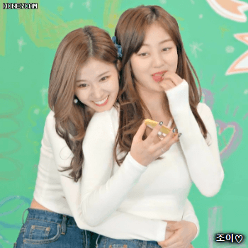 171211 스페셜 브이라이브 트와이스 사랑둥이 사나.gif | 인스티즈