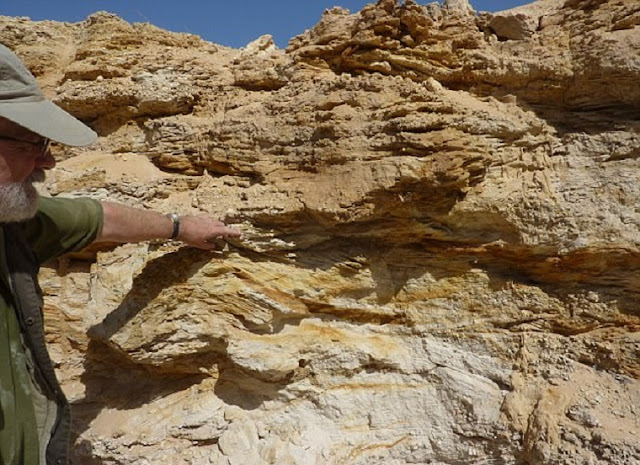Stone Age tools and animal bones in Tunisia are ‘clues to an early human corridor’ Stone Age tools and animal bones in Tunisia are ‘clues to an early human corridor’