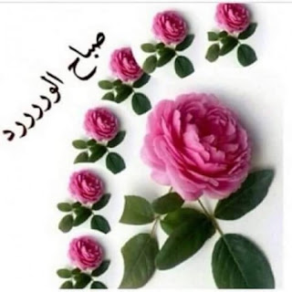%25D8%25B5%25D9%2588%25D8%25B1-%25D9%2588%25D8%25B1%25D8%25AF-%25D8%25B5%25D8%25A8%25D8%25A7%25D8%25AD-%25D8%25A7%25D9%2584%25D8%25AE%25D9%258A%25D8%25B1%2B%252828%2529