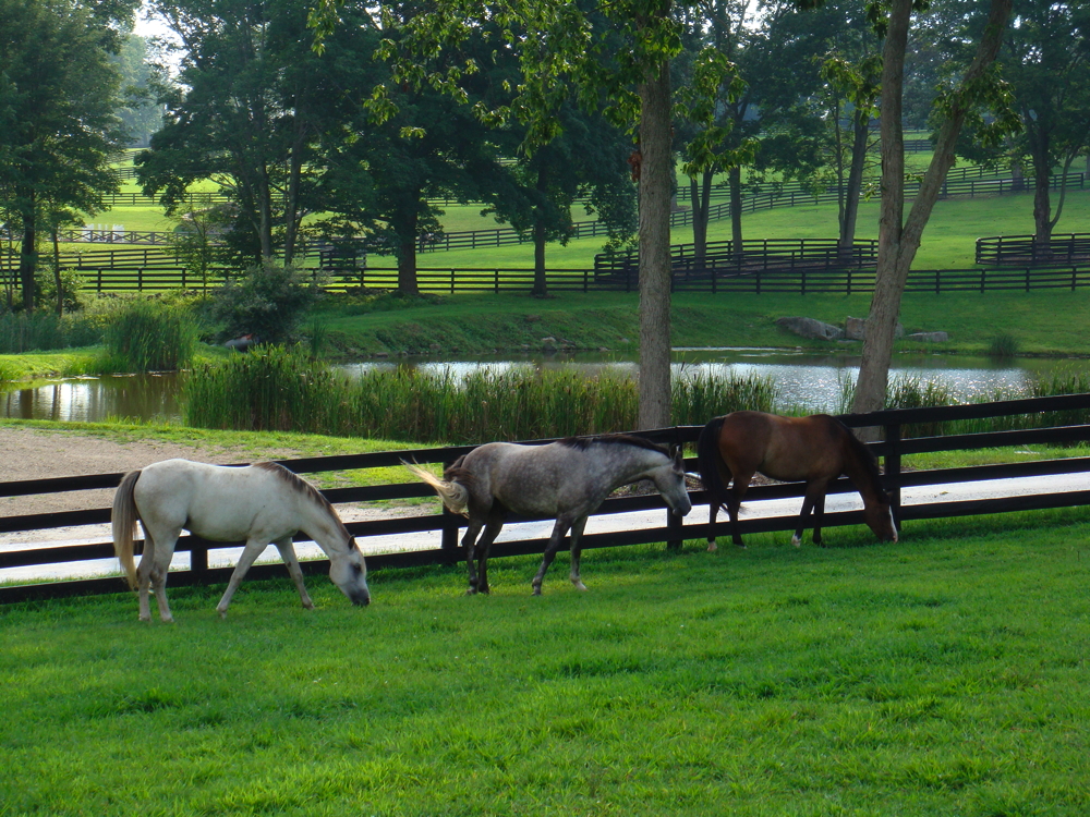 Bill Gates’ custombuilt home in Medina, Washington North Salem NY Homes