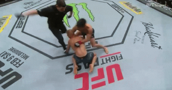3.gif