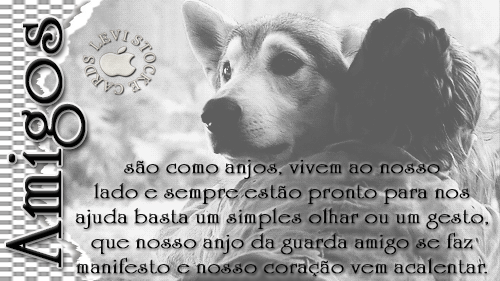 Amizade-18.gif