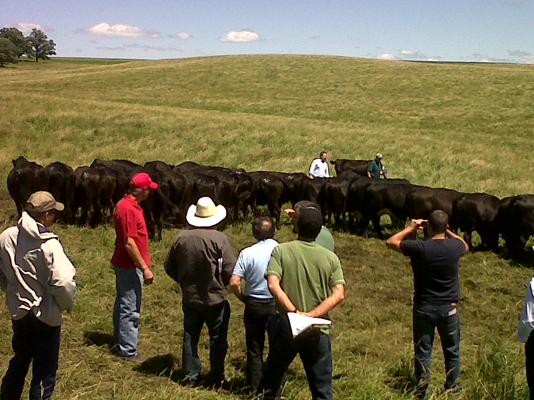 Beef tour C.R.I. Última visita