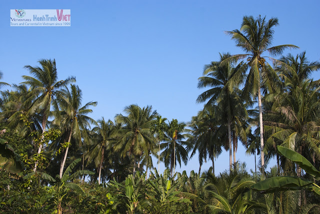 Khám phá tour du lịch ở Tiền Giang 10.2015