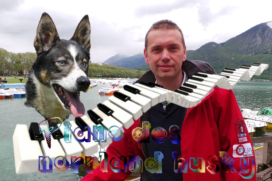 Le piano des Norrland husky