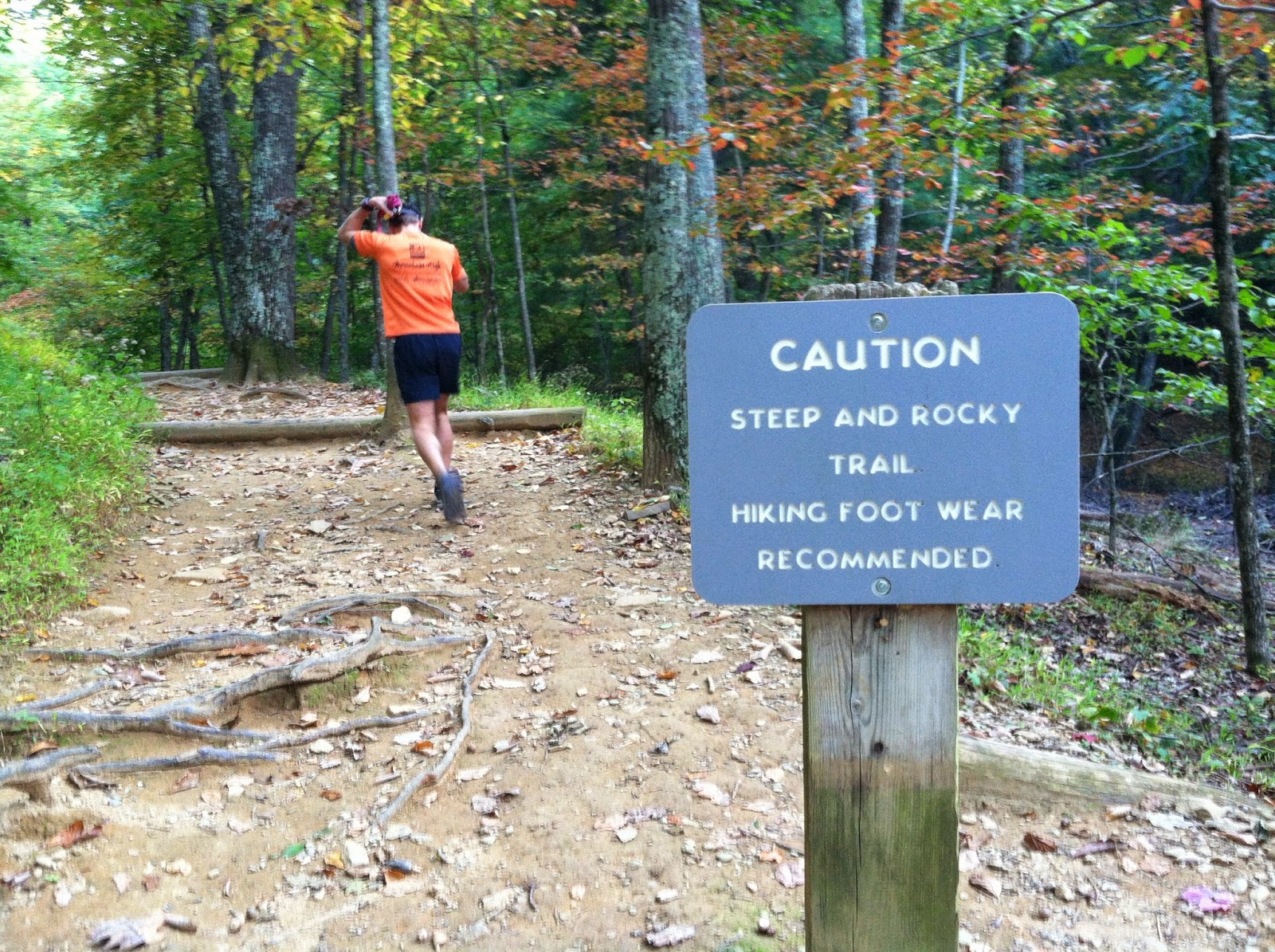 Fiction Running Grindstone 100 Virginia Is For Runners