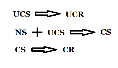 WJEC AS PSYCHOLOGY REVISION