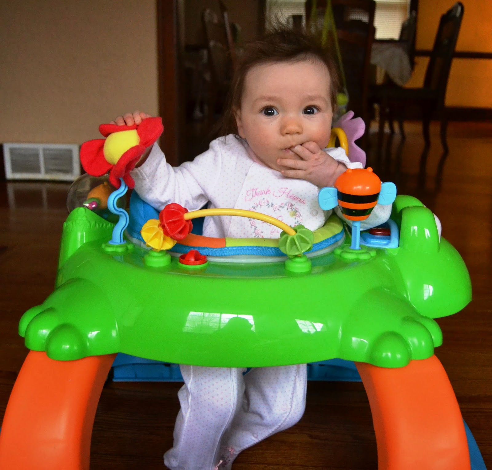 Delta Children Frog Walker Review | The Nutritionist Reviews