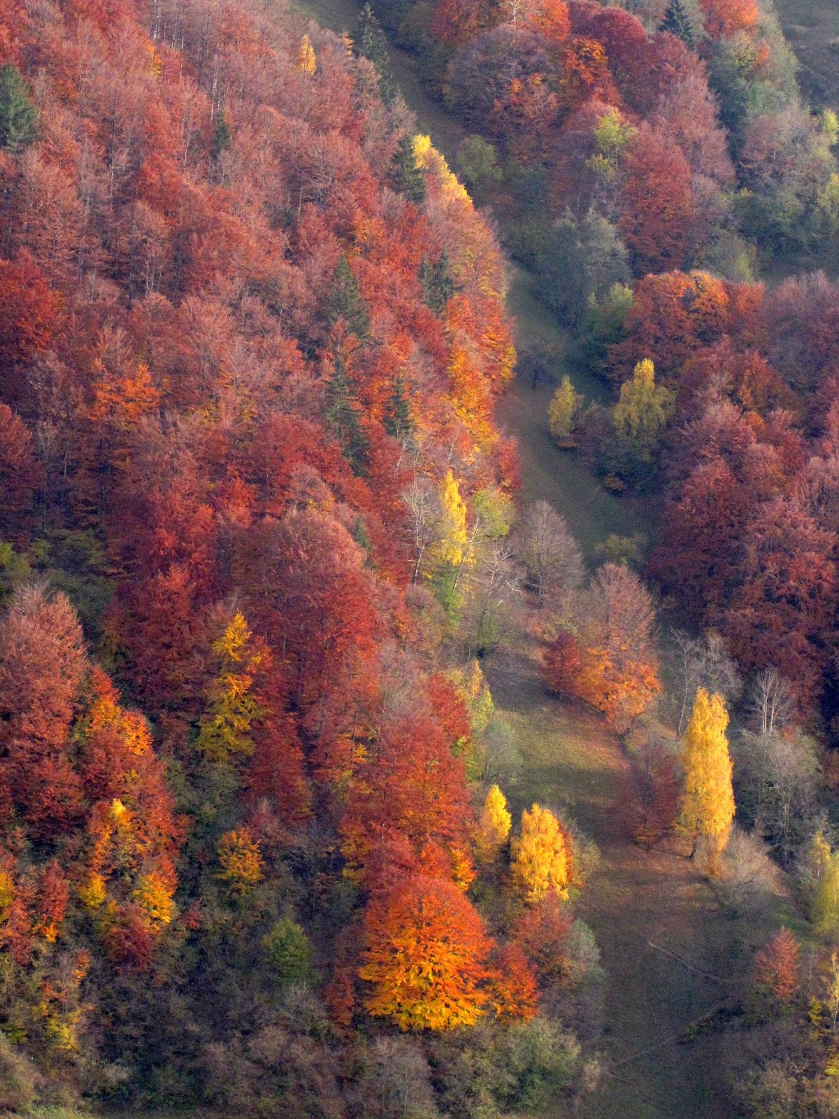 Hobby De Mamica Photo Responsabilitate Sociala Si Altele 