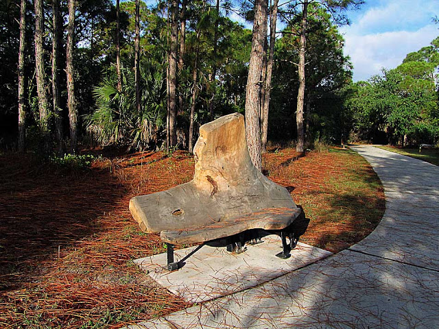 Bench by Christopher Fennell, Wall Springs Park, Palm Harbor, Florida