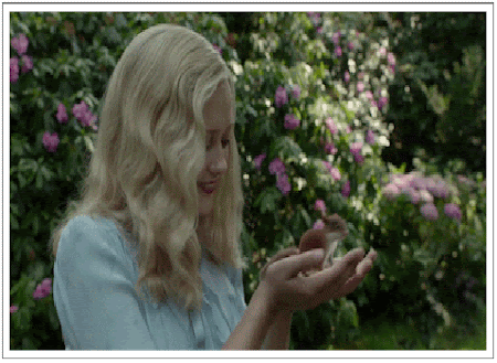 41332SkBDRMWM.gif
