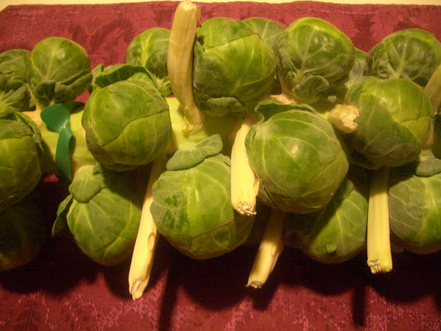 brussels sprouts on a stalk