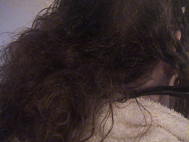 Tangled Hair Techs: 1 Year Matted Tangled Mess-Literally, a life ...