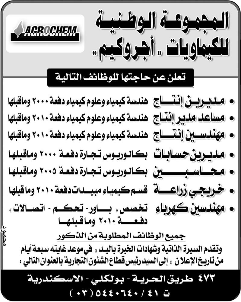 بدء تحديث بيانات بطاقة التموين من السبت بـ استمارة عند البقال بوابة صوت الشعب