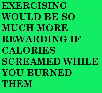 fat burners at vitamin