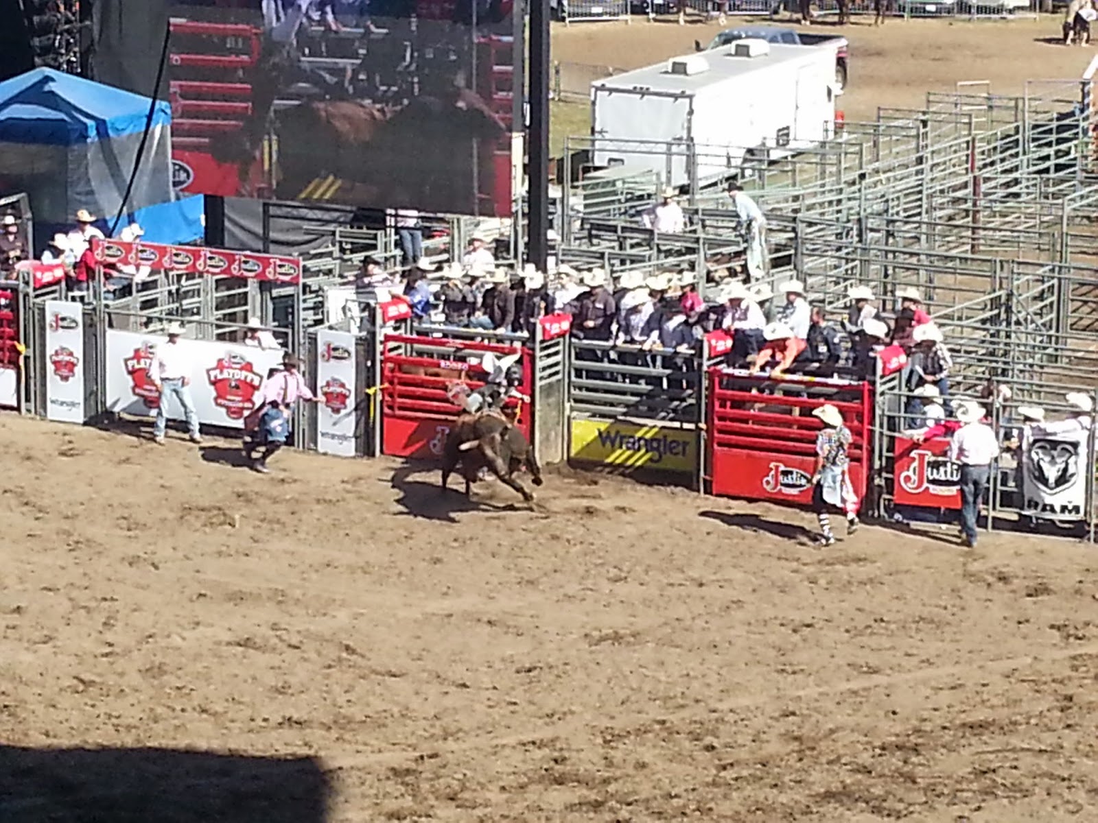 Williams Family Puyallup Fair and Rodeo