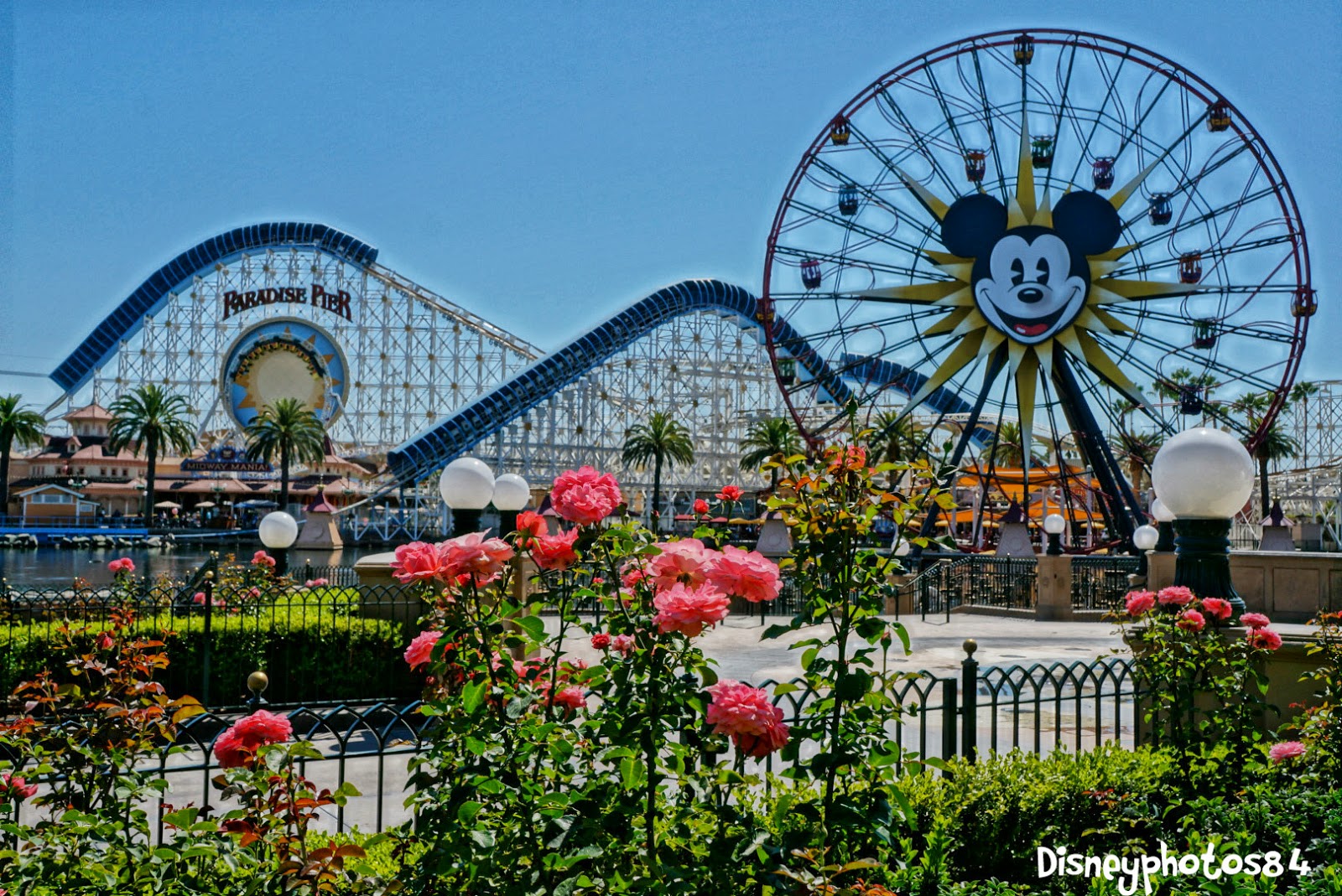 neverlanders-sc-upcoming-disney-events