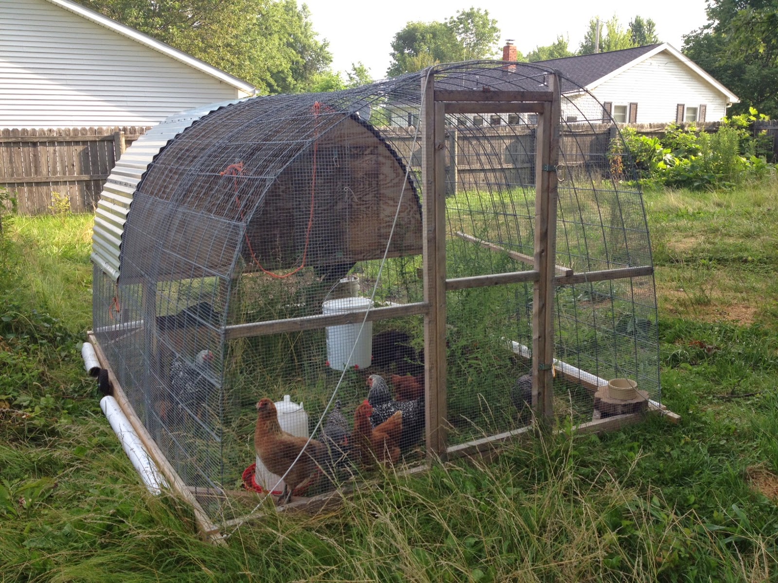 Chicken "tractor" (now stationary coop)