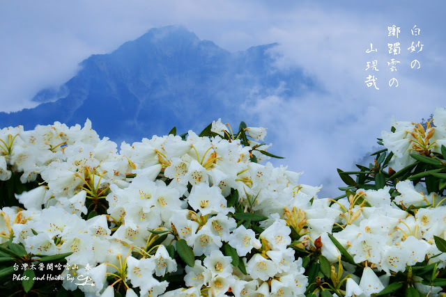 我之所攝 心之所見 滌癒人心 意味深遠 請跟隨我進入這攝影與詩歌交織成的視界 並帶回滿滿的感動 台灣美景 太魯閣小奇萊至哈哈山的悠遠詩歌the Far Reaching Meditation Spirit Scenery Of Taroko National Park From Xiaoqilaio To Smile Mountain