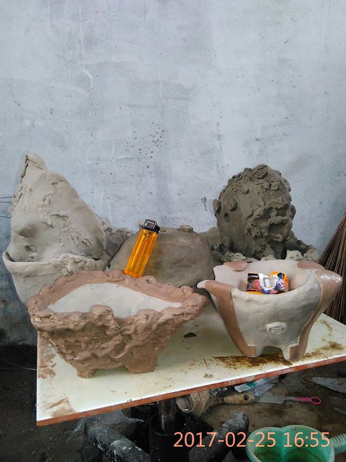 TIPS PEMILIHAN POT UNTUK BONSAI 