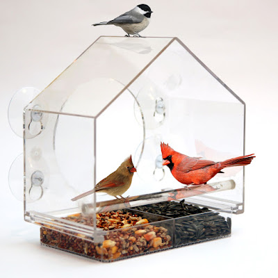 See our review of the Birds-I-View Bird Feeder from Nature Anywhere.