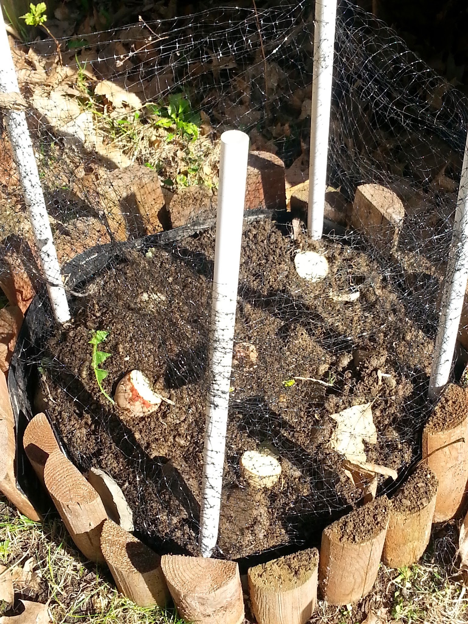 How to Make a Potato Tower The Western New Yorker
