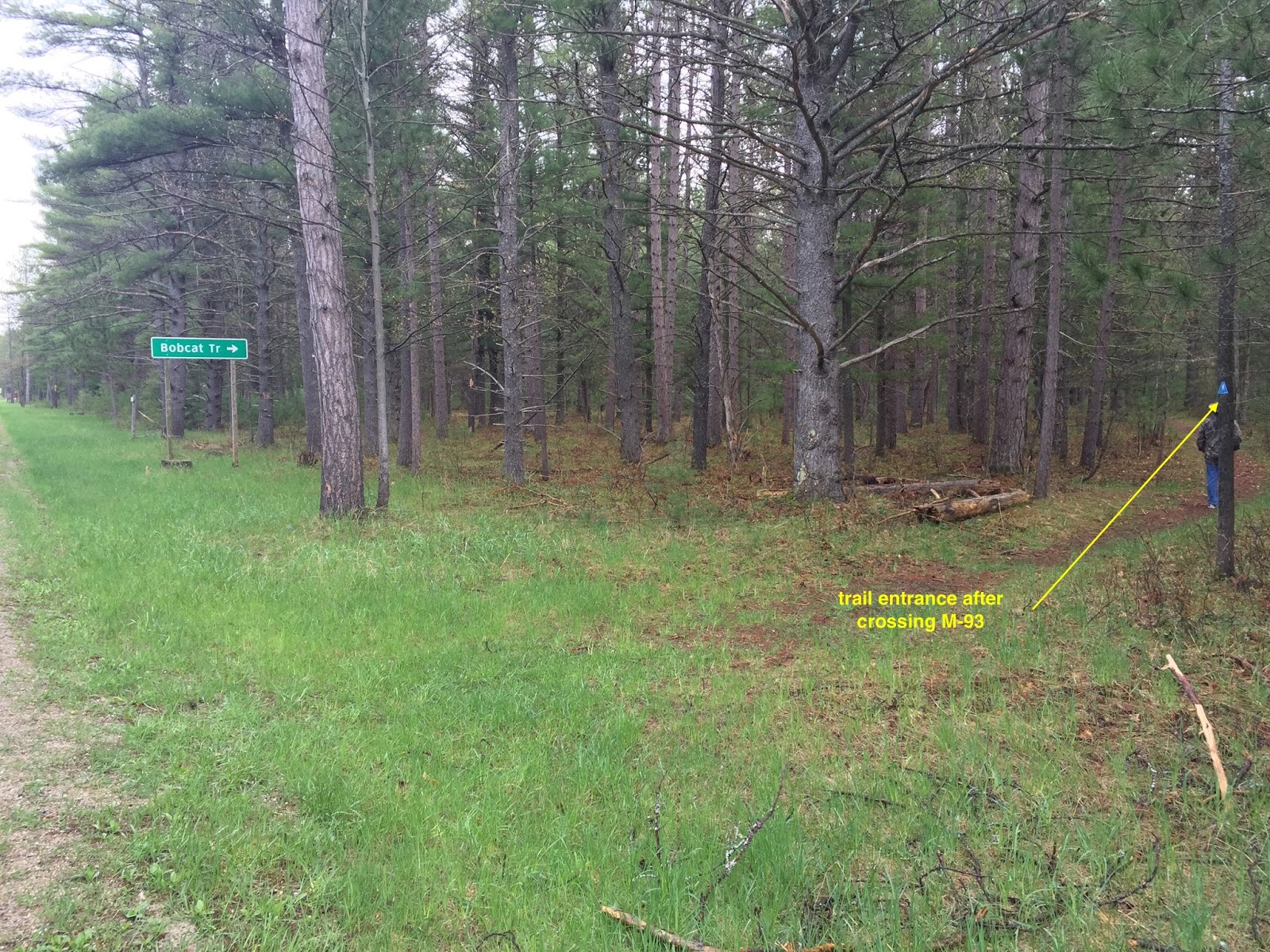 Travel Reviews & Information Grayling, Michigan / Hartwick Pines State