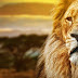 Το λιοντάρι και ο άνθρωπος: Μια σύντομη ιστορία για σκέψη …