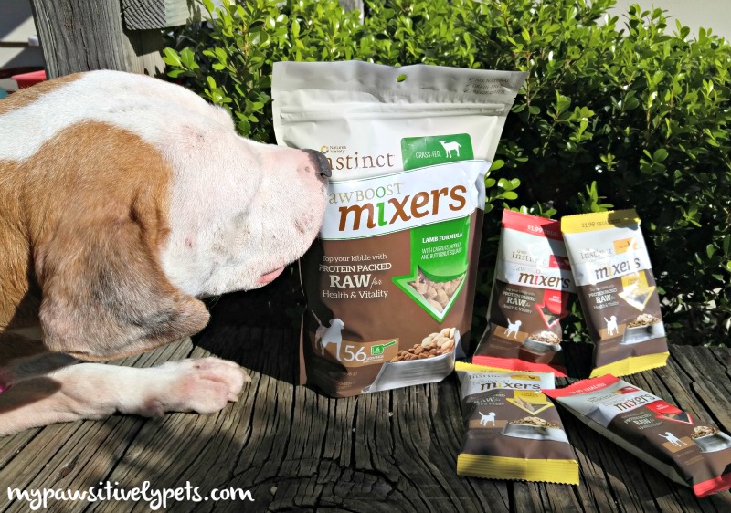 Adding Raw Food to Your Dog's Dry Diet mixitup Pawsitively Pets