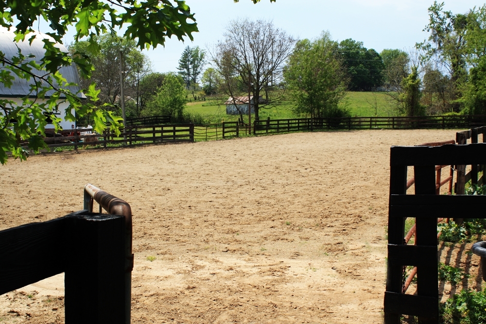 Ellington Stables HORSE BOARDING