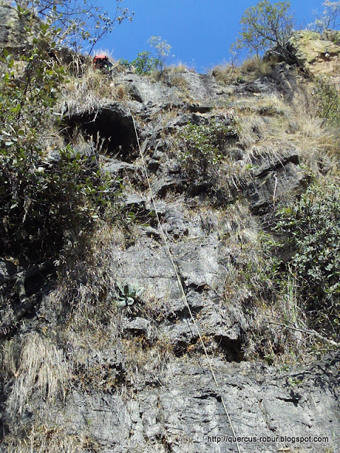 Descenso de ~40 metros antes de llagar al arroyo La Soledad