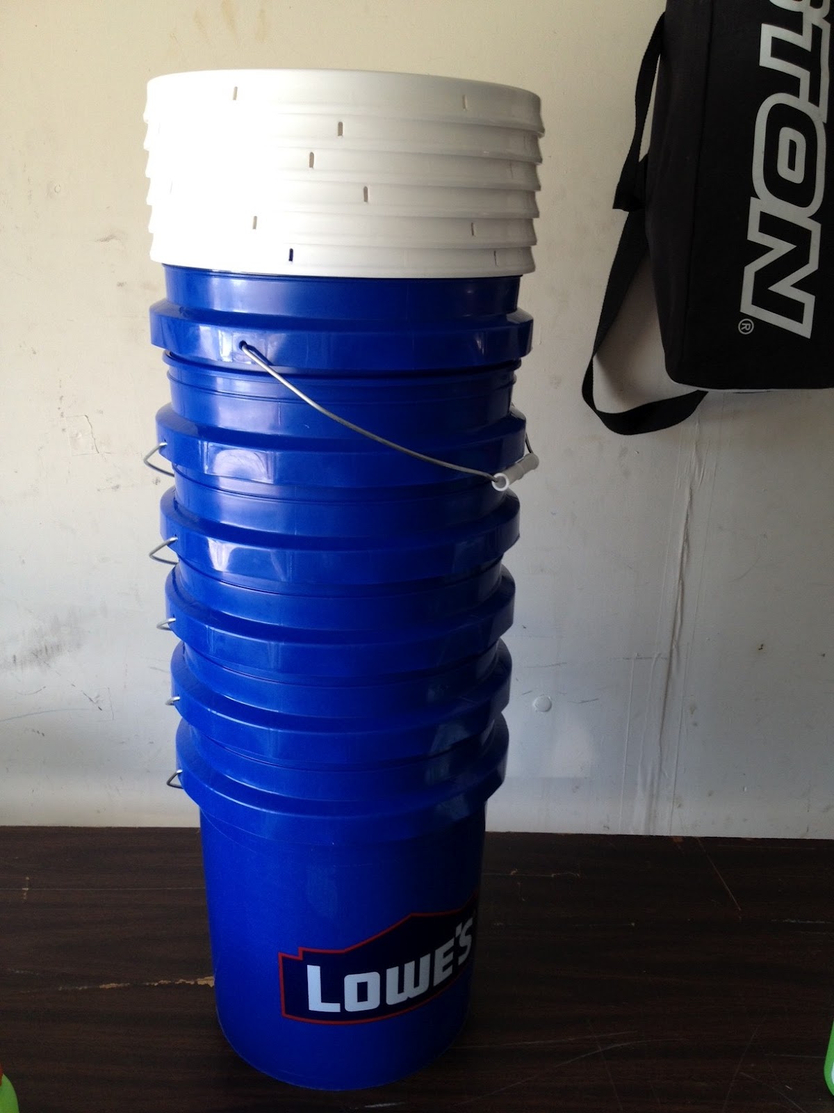 A First Grade Teacher's Passions and Obsessions My Jungle Version of a