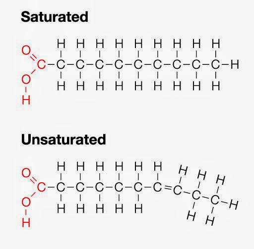 Examples Of Unsaturated Fat 20