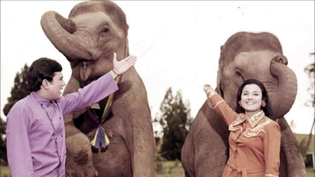 Hindi movie haathi mere saathi full movie Hindi movie haathi mere saathi full movie