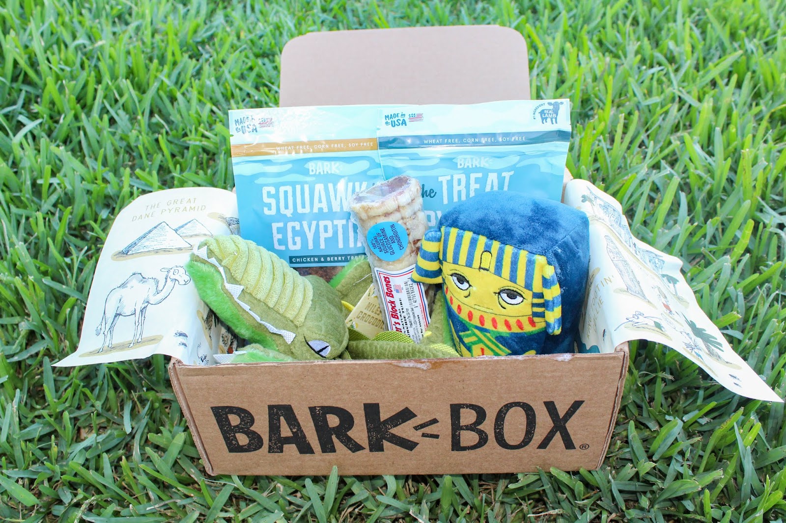 May BarkBox Review