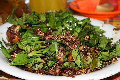 Masakan Nusantara: Makanan dan Minuman khas Aceh