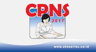 info cpns pekanbaru 2017