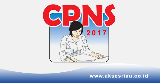 INFO CPNS 2017