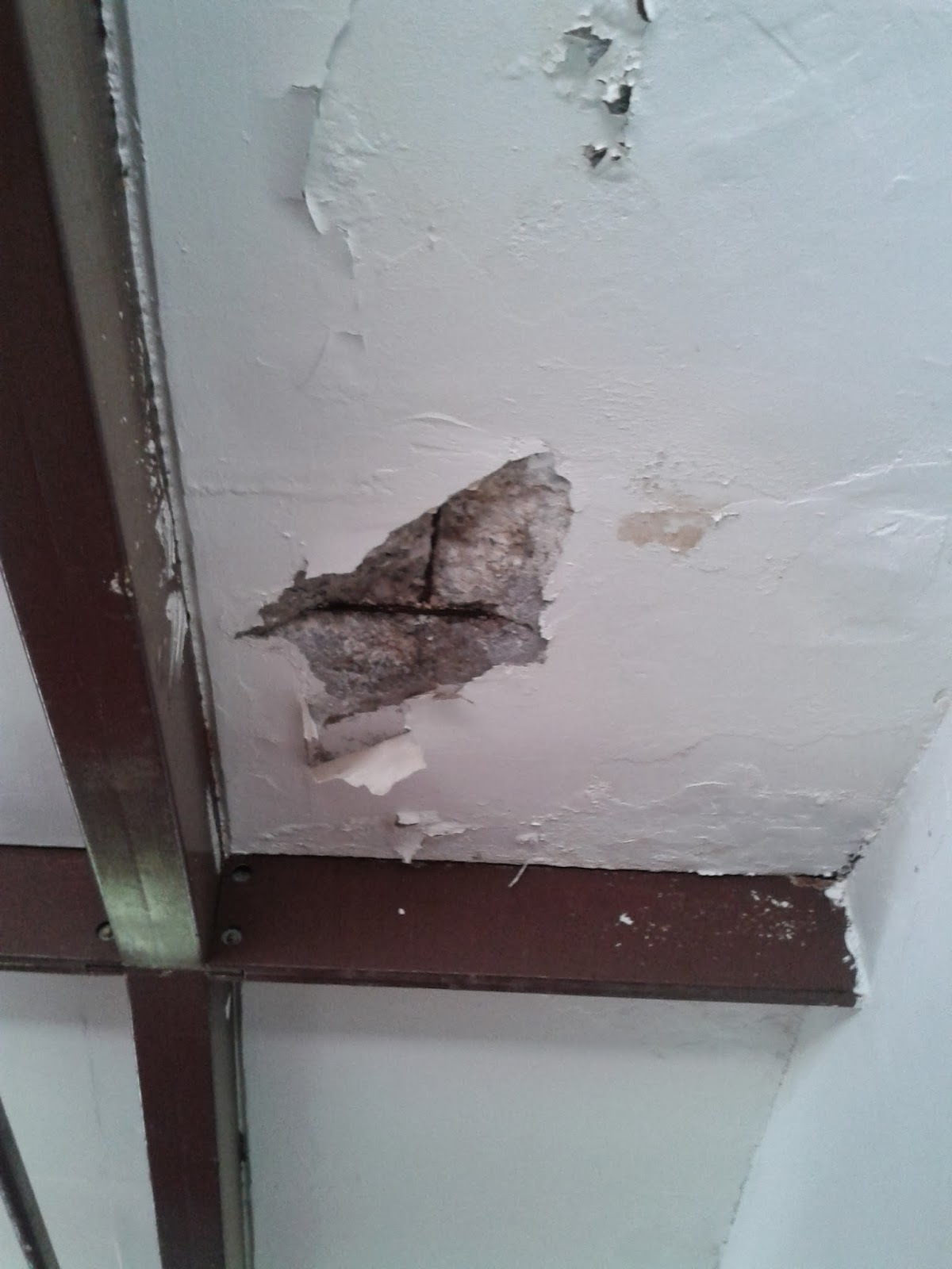 @ Mtro. "Rafael Ramírez" Tepic, Nayarit. Mexico: Rehabilitación de los