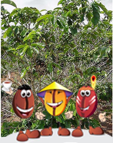 Кофе — мой друг