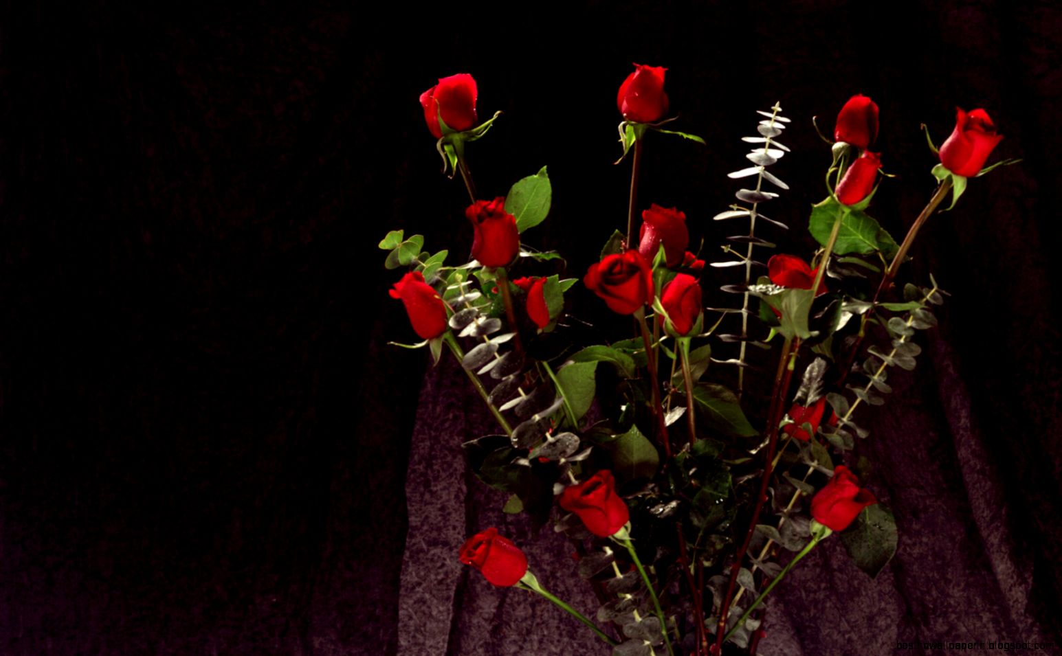 BUNCH OF RED ROSES WALLPAPERS  BUNCH OF RED ROSES Scenery Desktop